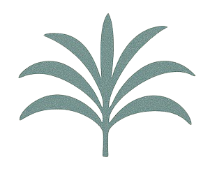 logo h removebg preview